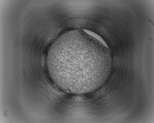 X0000101950412200808081510