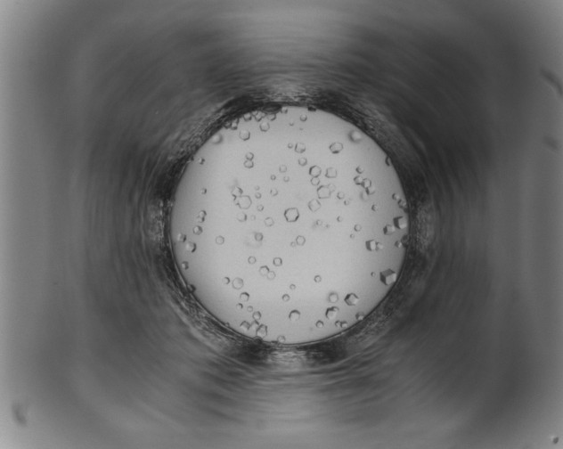X0000101950413200808081510