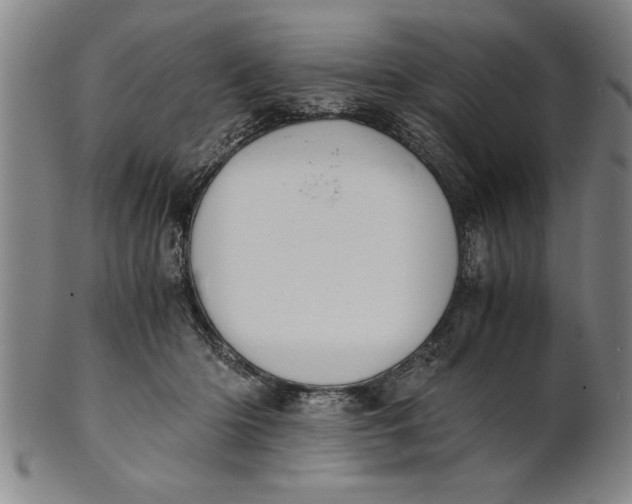 X0000101950414200808081510