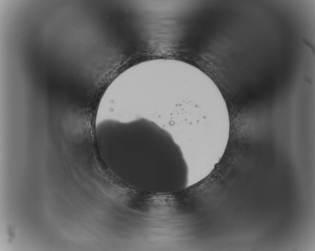 X0000101950415200808081510