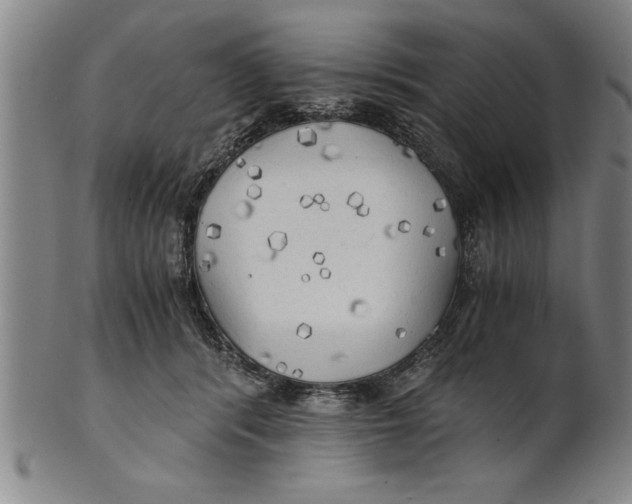 X0000101950416200808081510