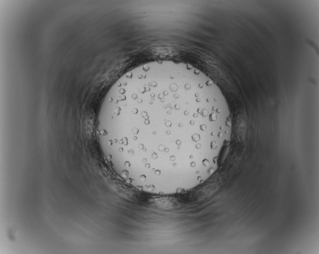 X0000101950417200808081510