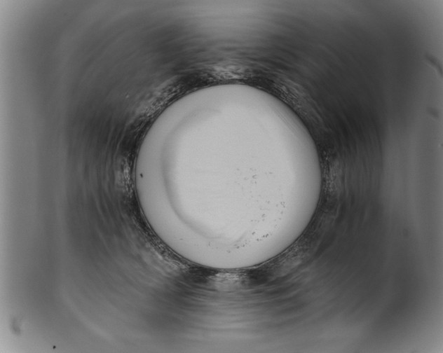 X0000101950418200808081510