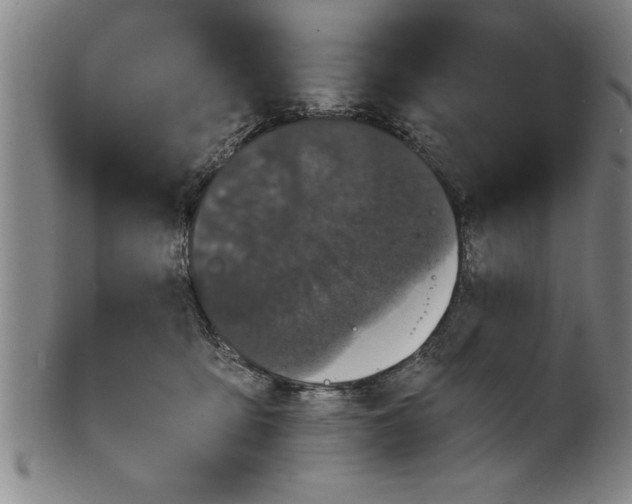 X0000101950419200808081510