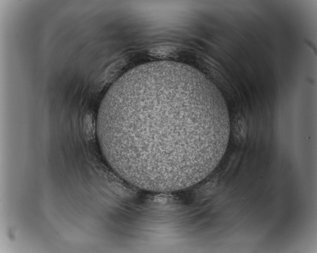 X0000101950420200808081510