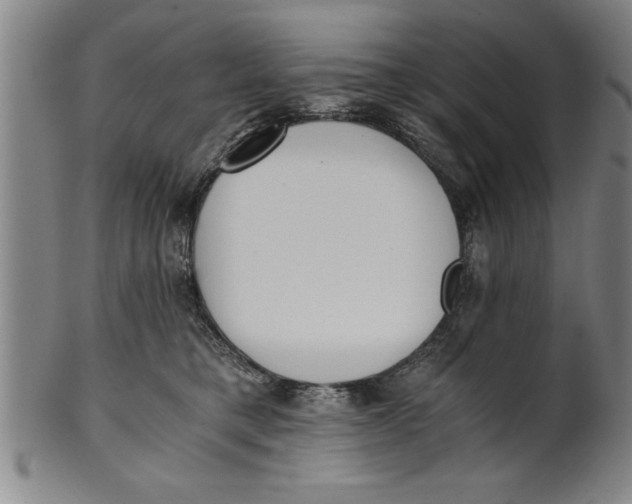 X0000101950421200808081510