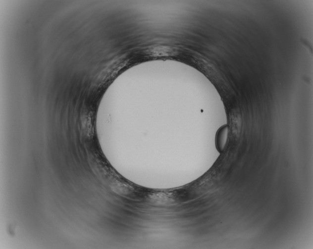 X0000101950422200808081510