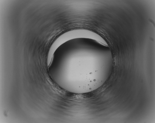 X0000101950423200808081510