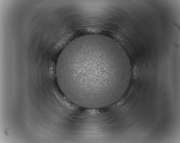 X0000101950424200808081510