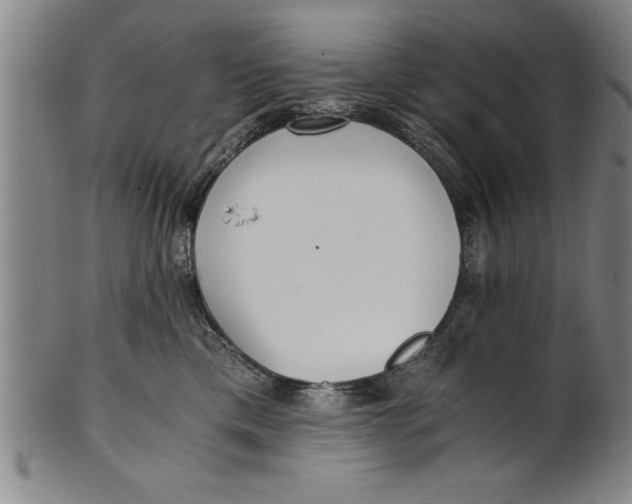 X0000101950425200808081510