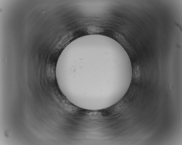 X0000101950426200808081510