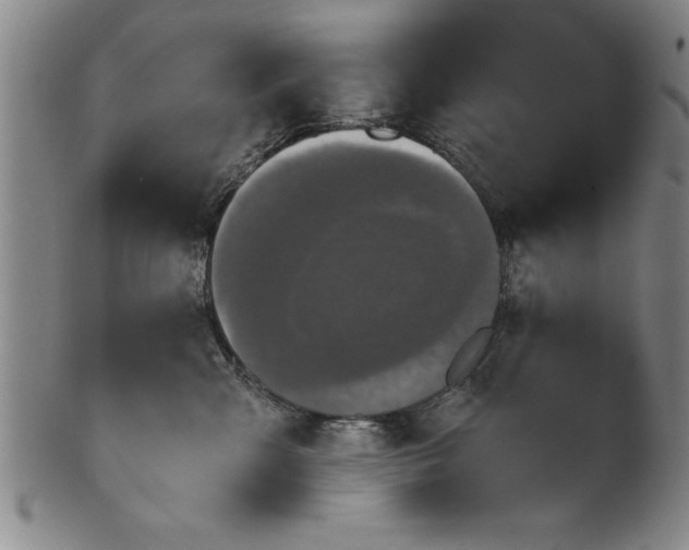 X0000101950427200808081510