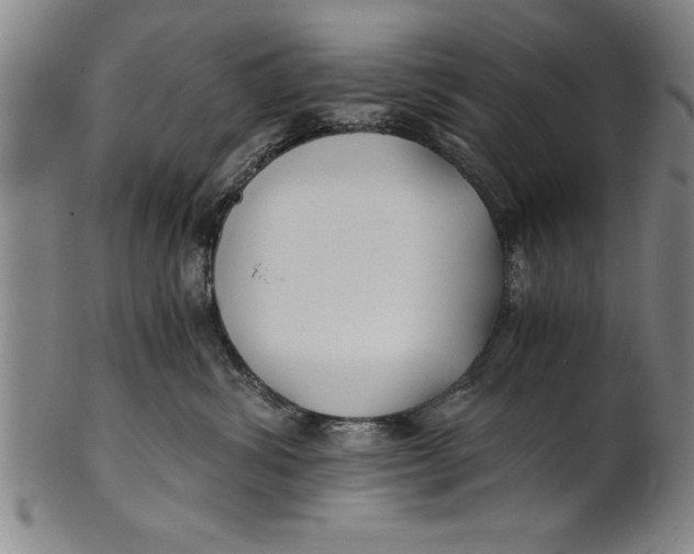 X0000101950428200808081510