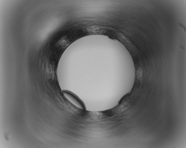 X0000101950429200808081509