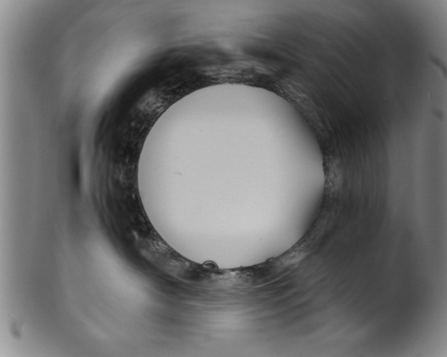 X0000101950430200808081509
