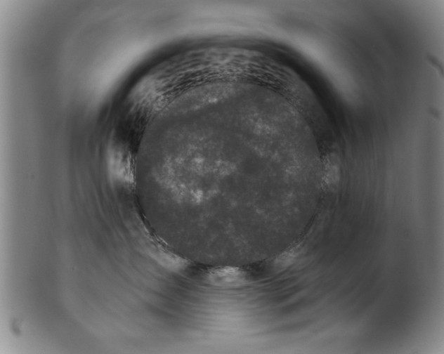 X0000101950431200808081509