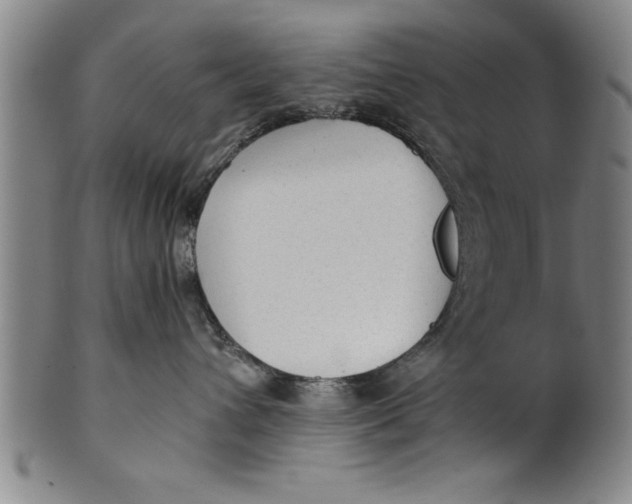 X0000101950432200808081509