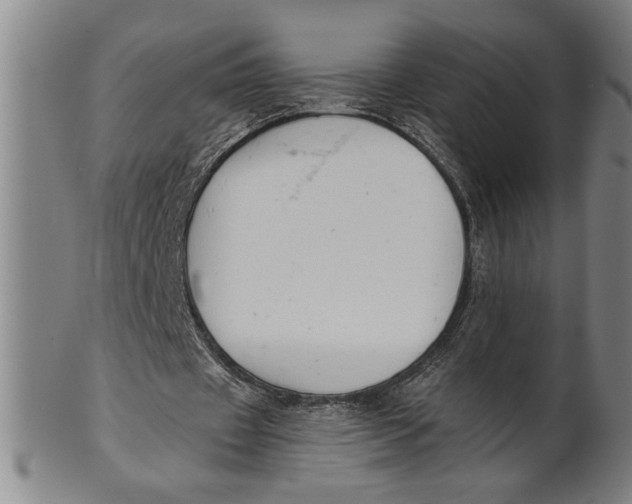 X0000101950433200808081509