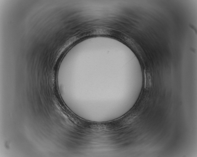 X0000101950435200808081509