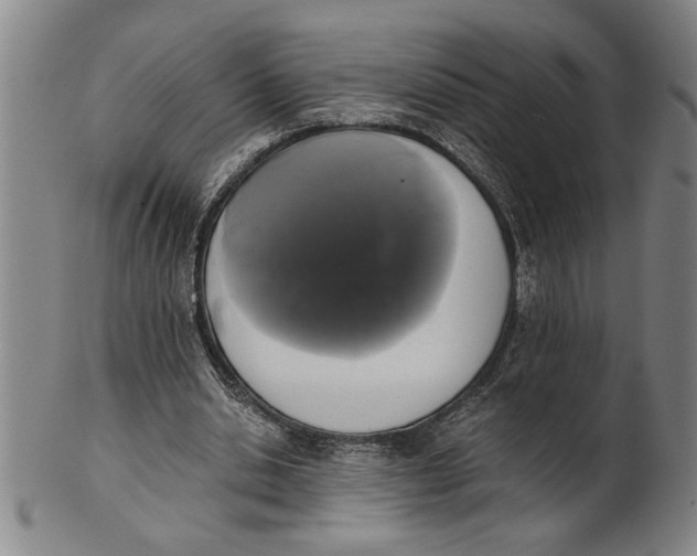 X0000101950438200808081509