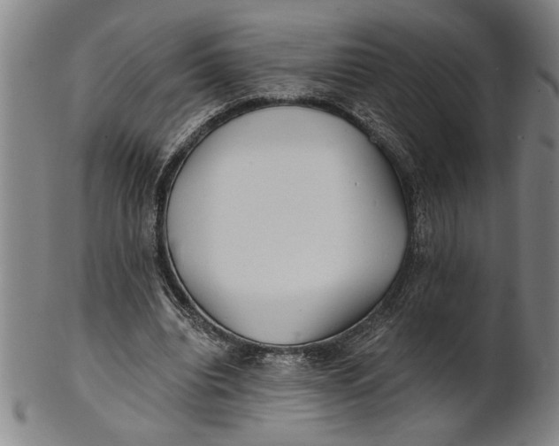 X0000101950440200808081509