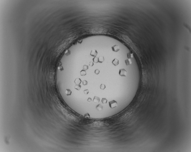 X0000101950441200808081509