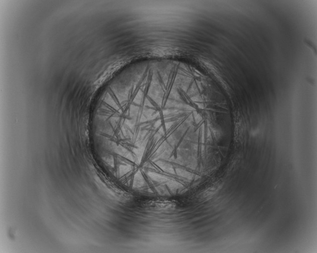 X0000101950443200808081509