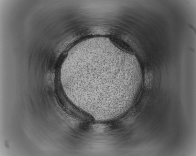 X0000101950444200808081509