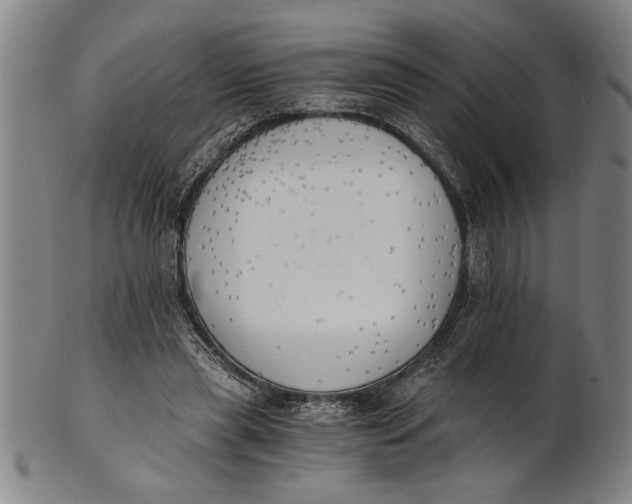 X0000101950445200808081509