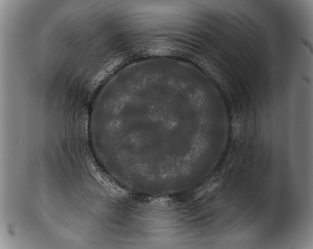X0000101950446200808081509