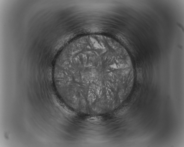 X0000101950447200808081509