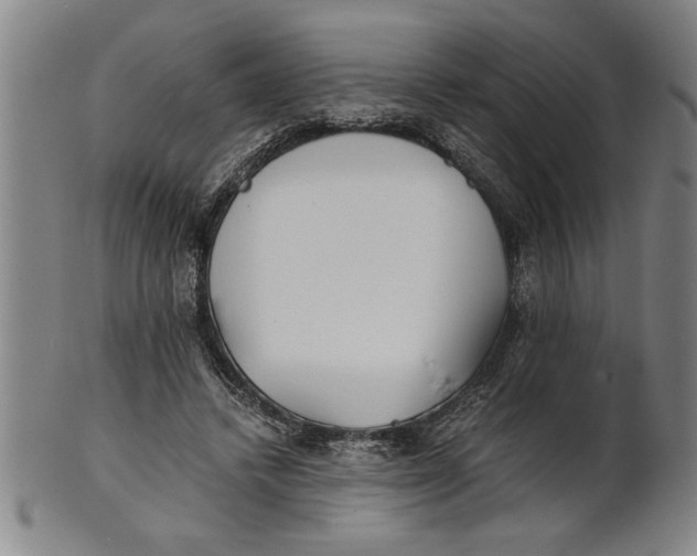 X0000101950448200808081509