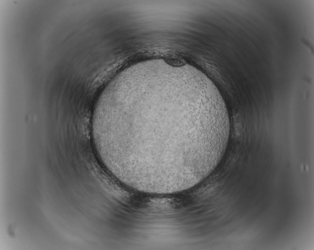 X0000101950450200808081509