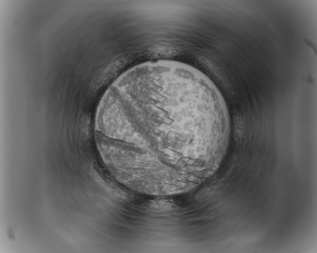 X0000101950451200808081509