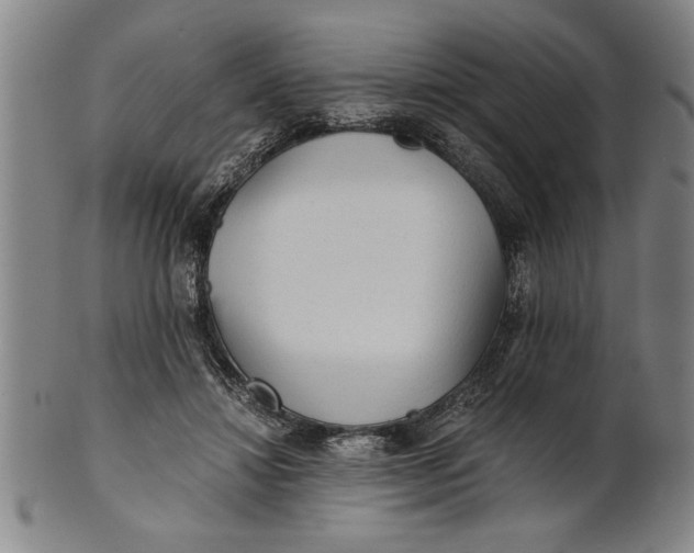 X0000101950452200808081509