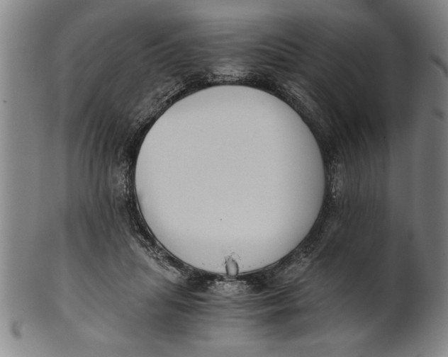 X0000101950455200808081509