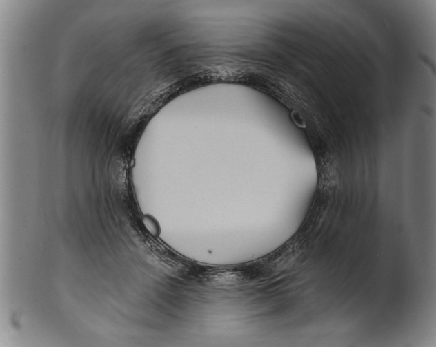 X0000101950456200808081509