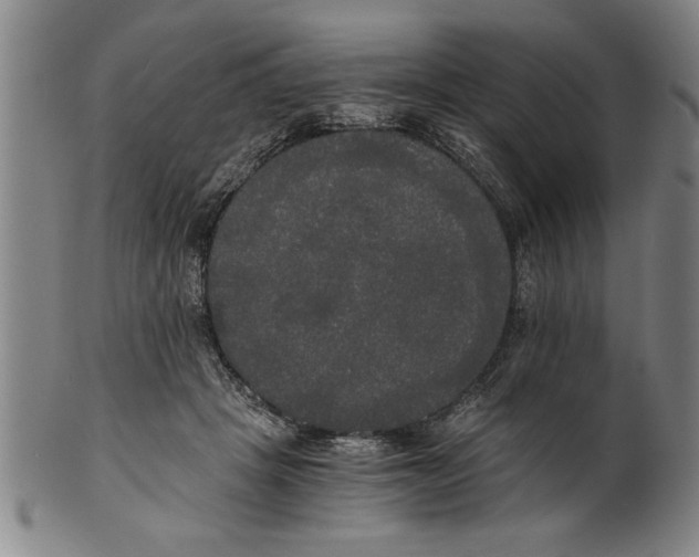 X0000101950457200808081509