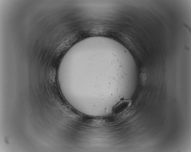 X0000101950458200808081509