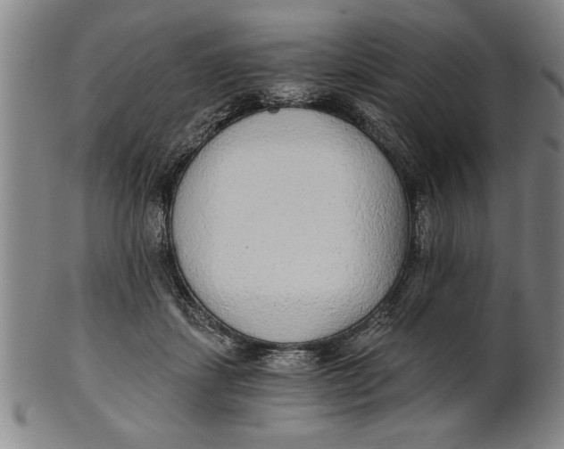 X0000101950459200808081509