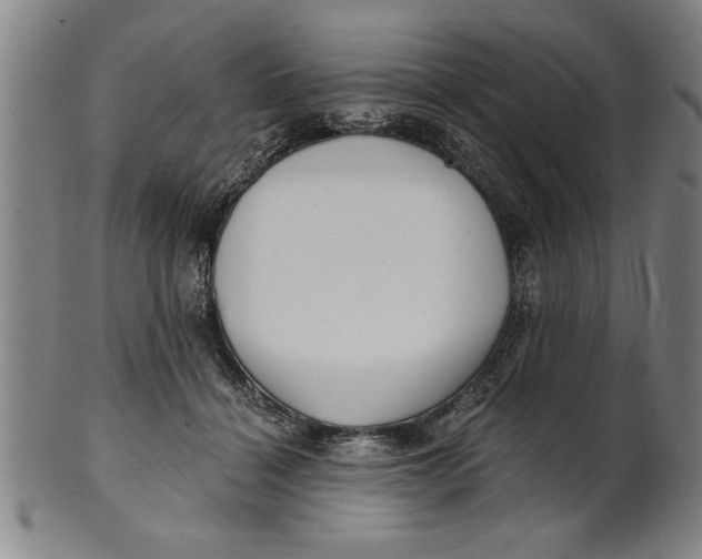 X0000101950460200808081509