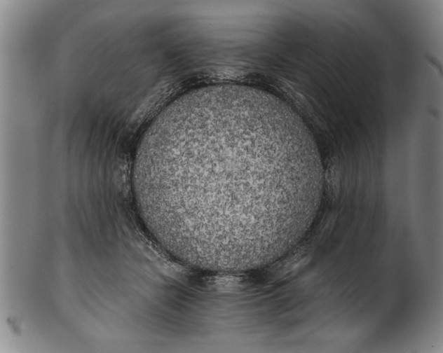 X0000101950462200808081509