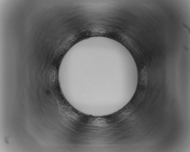 X0000101950463200808081509