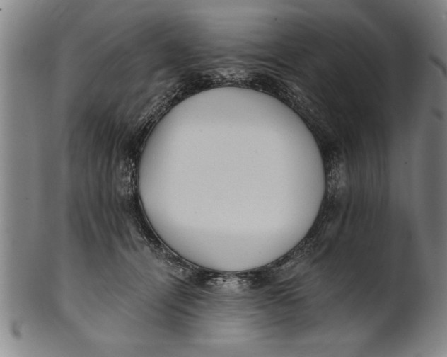 X0000101950464200808081509
