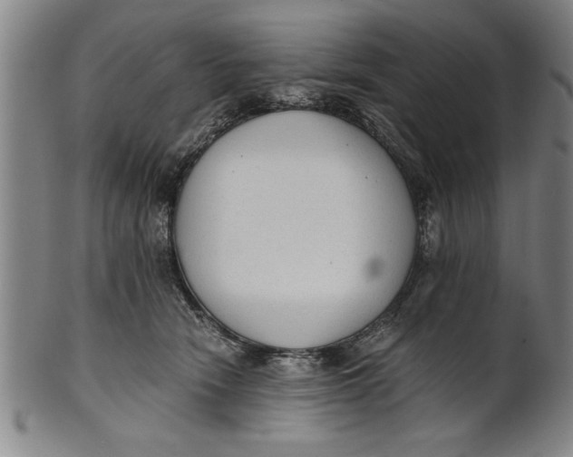 X0000101950466200808081509