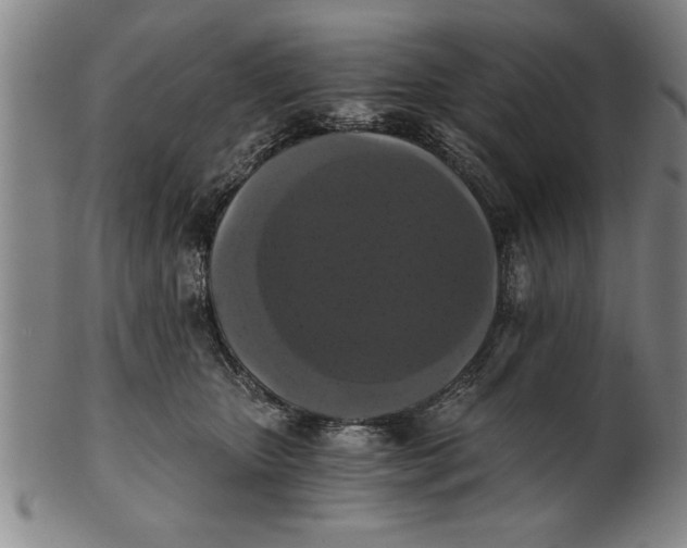 X0000101950467200808081509