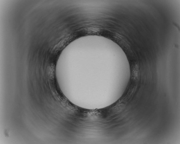 X0000101950468200808081509