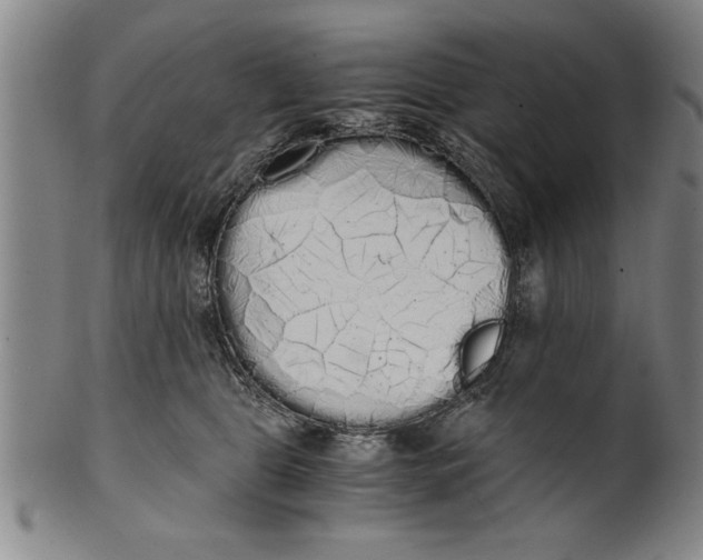 X0000101950469200808081509
