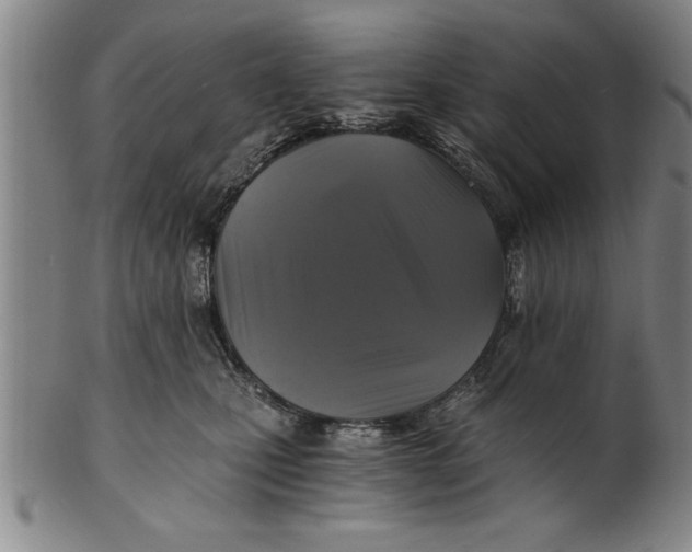 X0000101950471200808081509