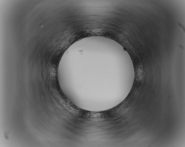 X0000101950472200808081509